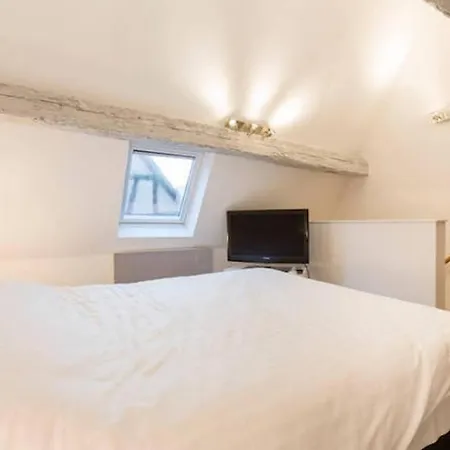 Historic Center - Petite Venise Apartment Colmar