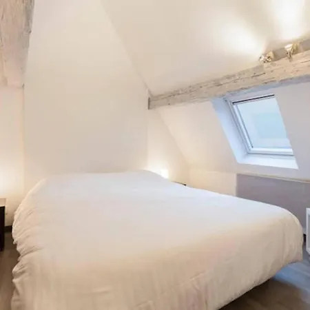 Apartamento Historic Center - Petite Venise Colmar