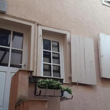 Historic Center - Petite Venise Apartment Colmar