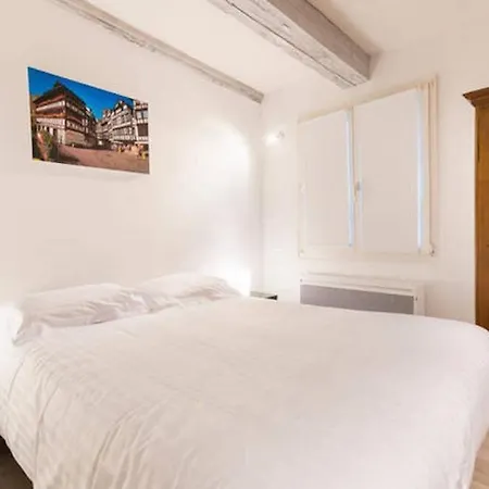 Appartamento Historic Center - Petite Venise Colmar