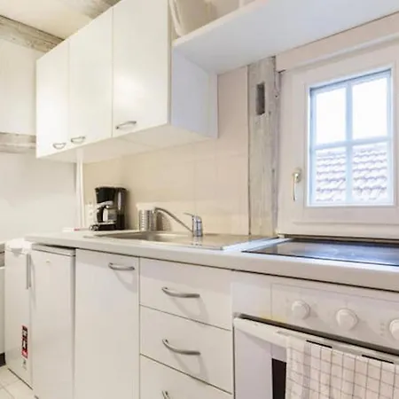 Apartment Historic Center - Petite Venise Colmar