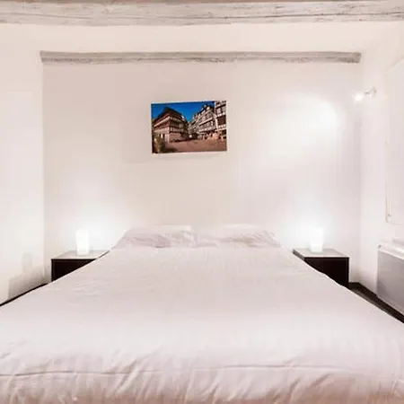 Apartment Historic Center - Petite Venise Colmar